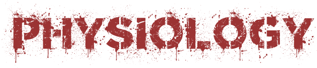 1750913343099.png