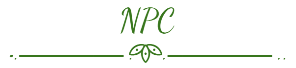 npc with divider.png