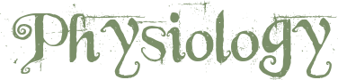 1750561428635.png