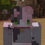 DumbCat9876